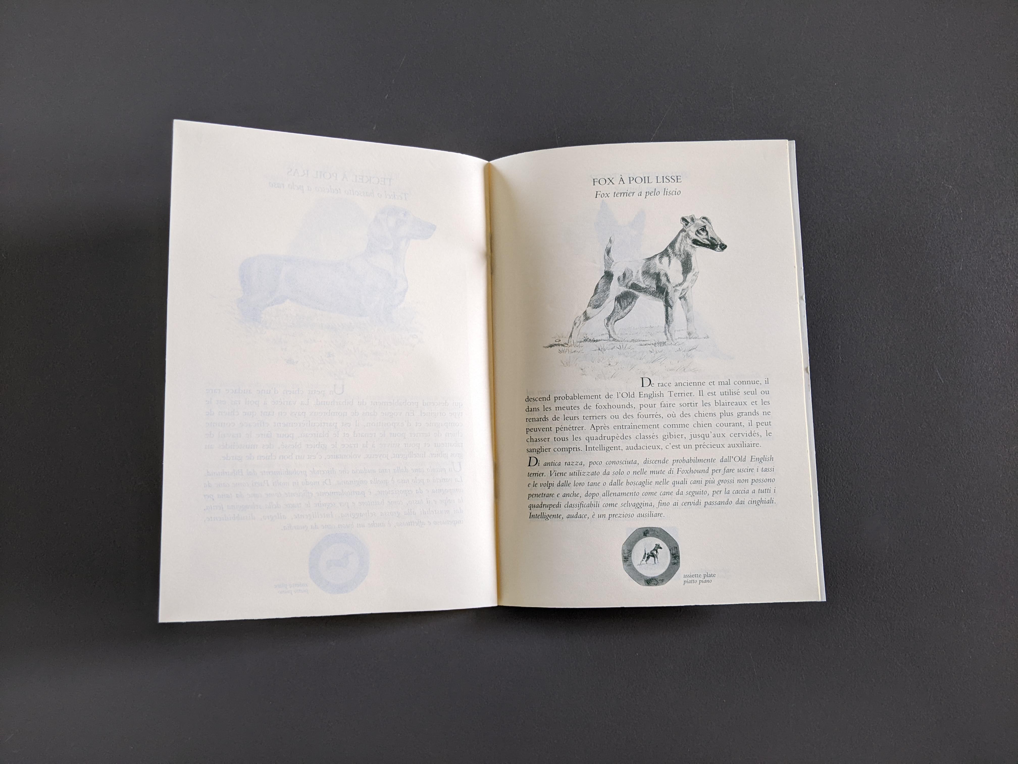 HERMES Petit Lexique of Pointing and Hunting Dogs Vol. I Rare Hermes Booklet