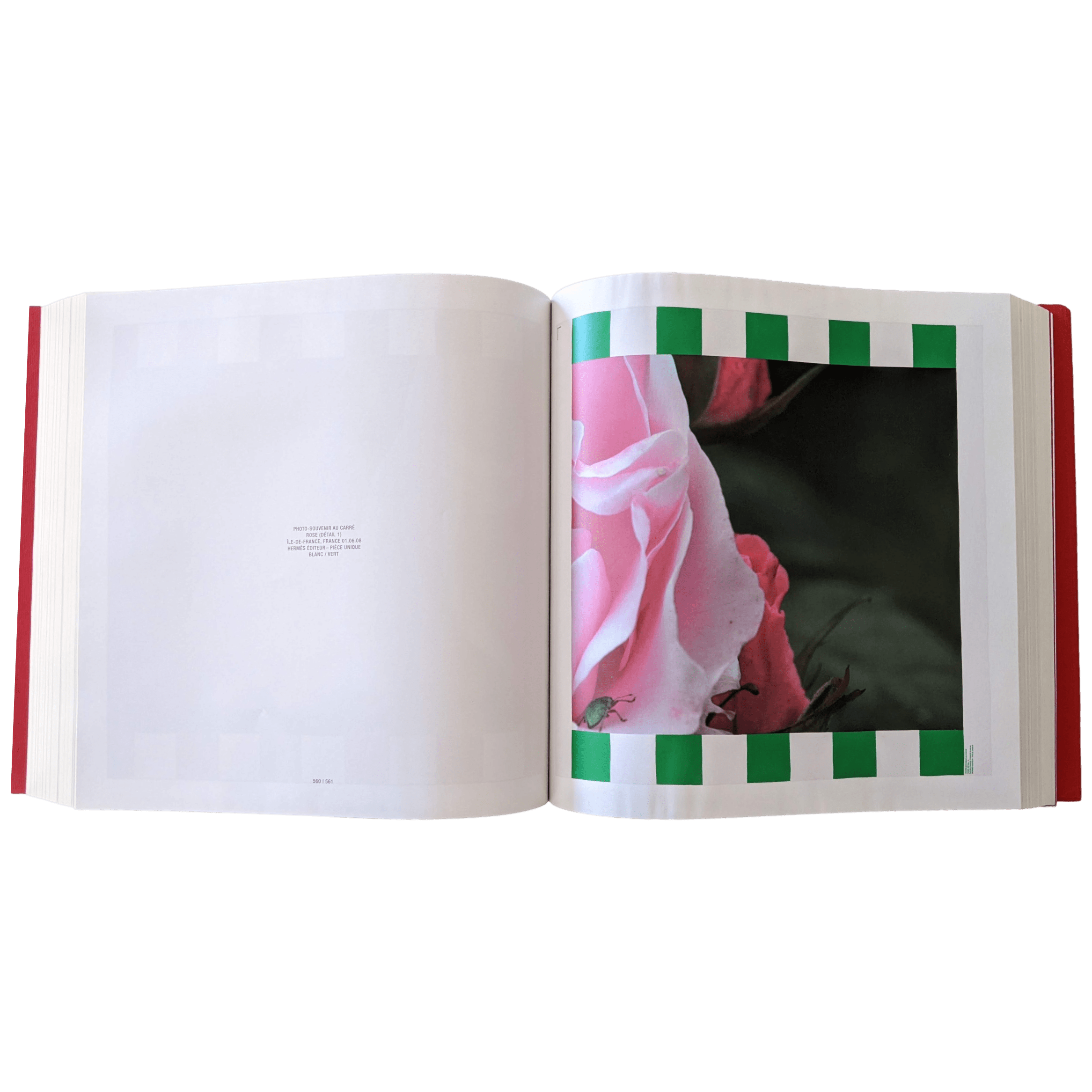 HERMES X DANIEL BUREN Photos-Souvenris au Carre Book