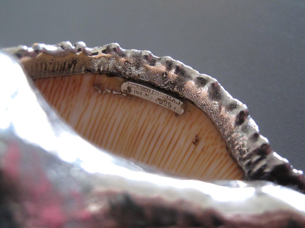 Buccellati Federico Milan Sterling Silver 925 Coated Conch Shell - poupishop