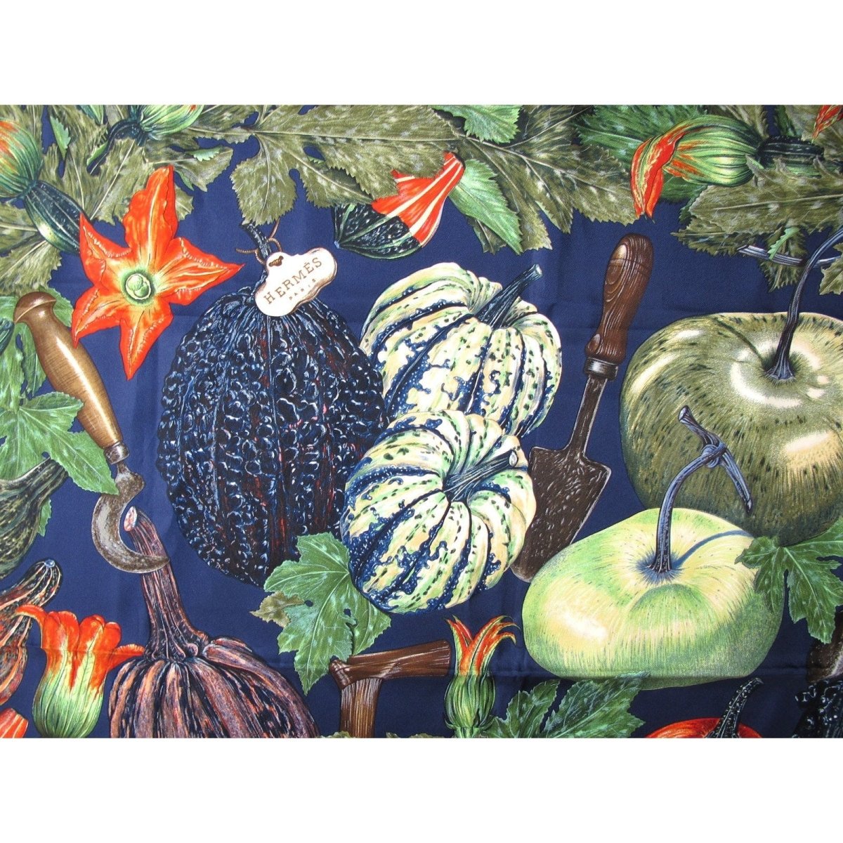 Hermes Citrouilles et Coloquintes by Valerie Dawlat with Blanc Matt Overlay Twill 90