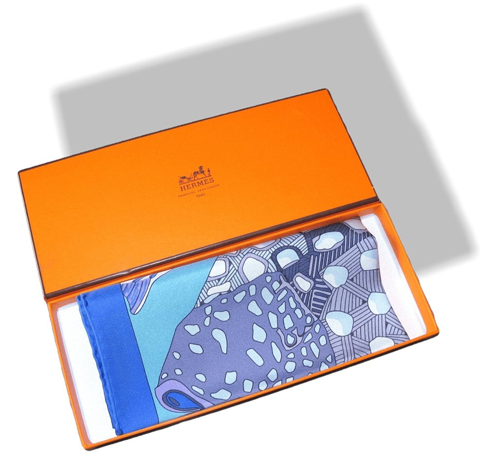 Hermes Grands Fonds Detail Twill Gavroche