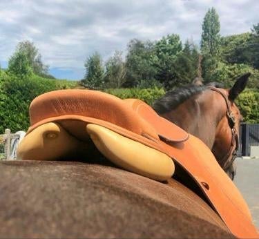 Hermes 2008 Pets Naturel/Sable Bull Calf CLASSIC ORIENTED JUMPING SADDLE, Sz 17" New!