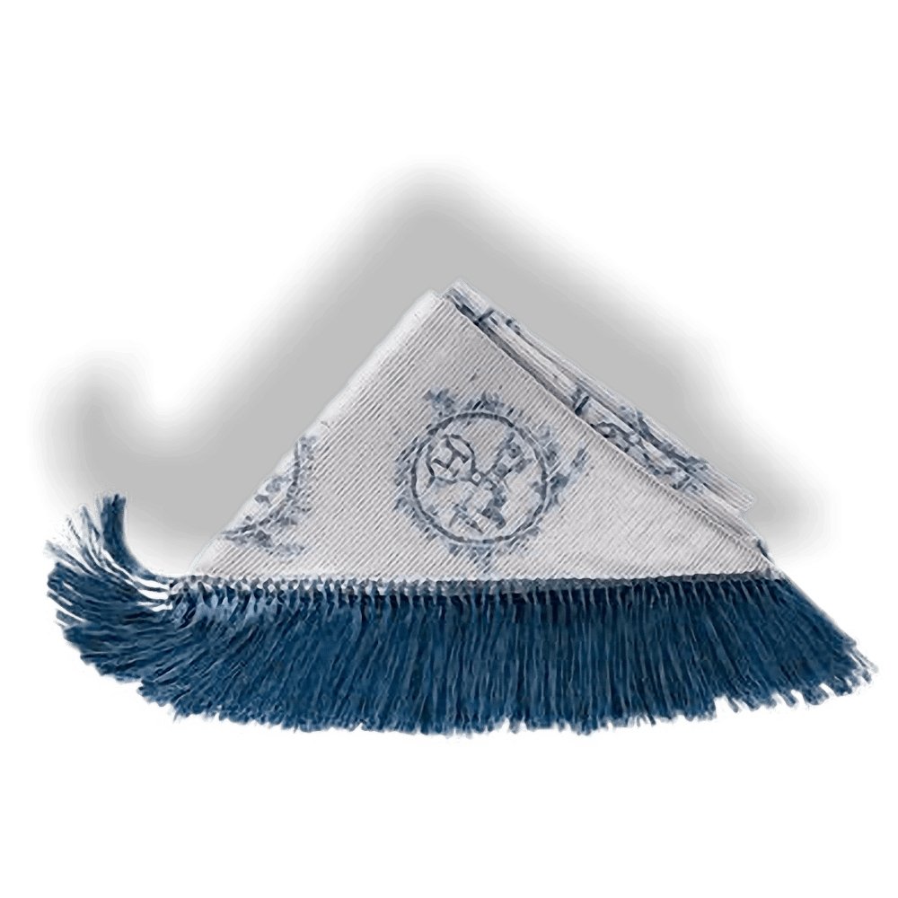 Hermes Cotton/Silk Ex Libris Fringed Pointe Nomade Limited