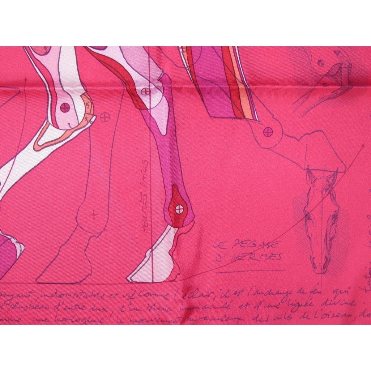 Hermes Le Pegase d'Hermès Twill 90