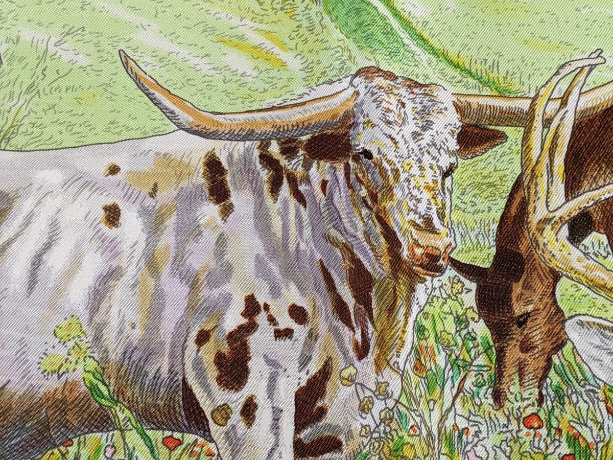 Hermes 2014 Ltd 500pc Caesar Kleberg La Vie Sauvage du Texas Blanc Matt Overprint Twill 90, RARE, NIB!
