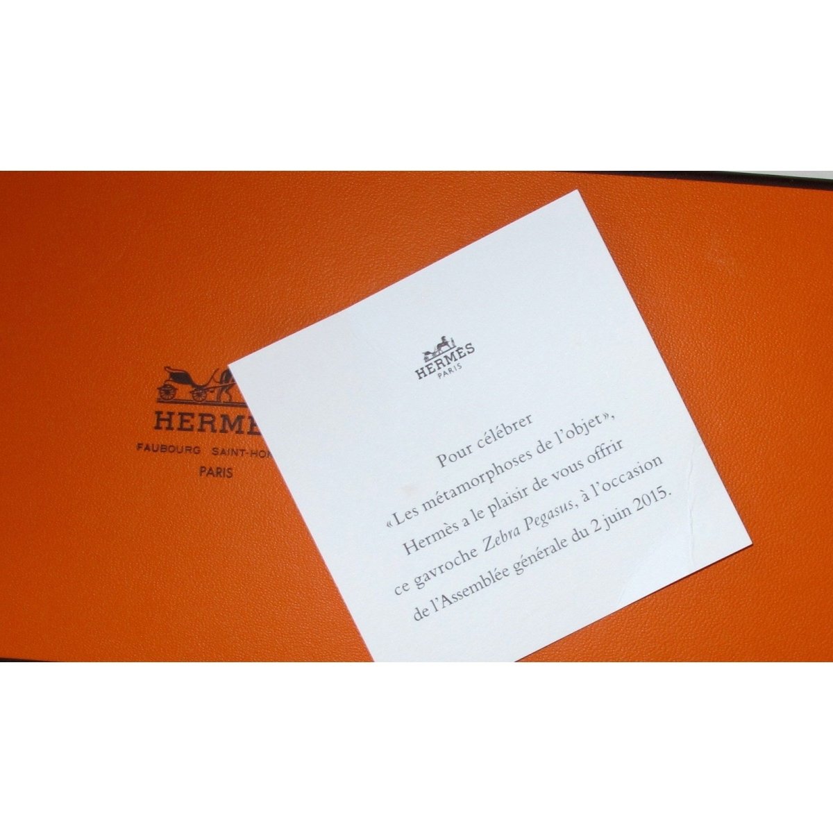 Hermes 2015 Blue Zebra Pegasus Metamorphose des Objets Twill Gavroche 42cm, NIB! - poupishop