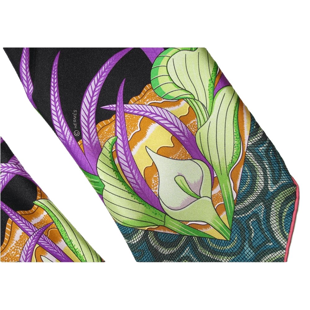 Hermes scarf La Marche du Zambeze