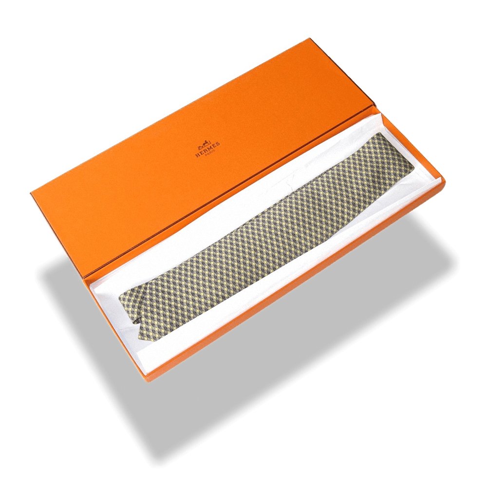 Hermes Classic Printed Twill Silk Tie, Box! - poupishop