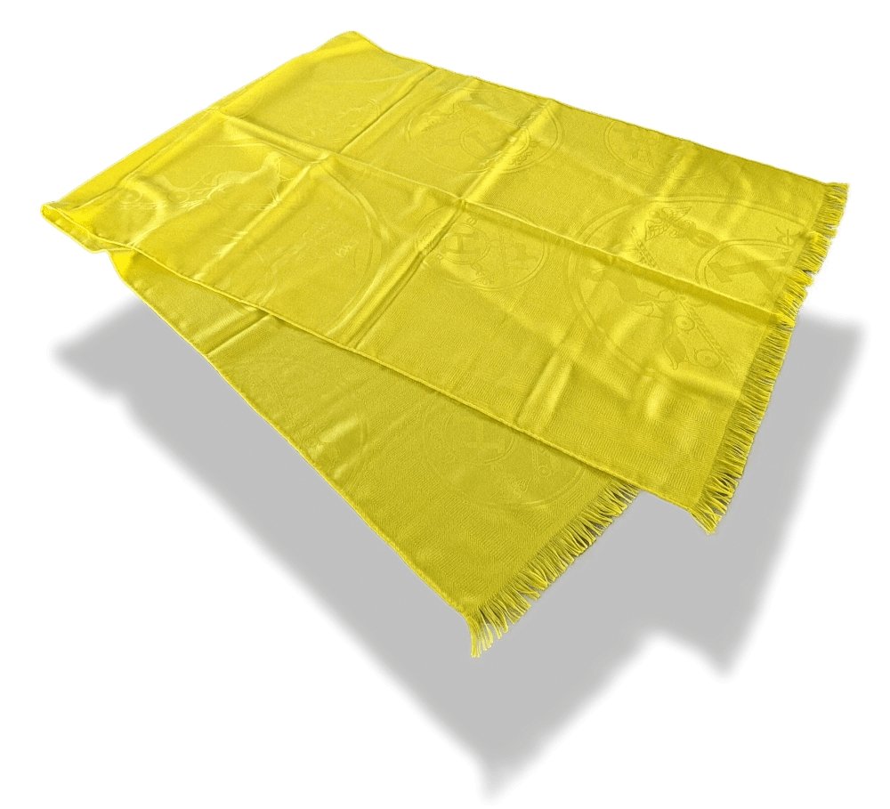 Hermes Lemon Yellow Fringed NEW LIBRIS Etole 85% Cashmere/15% Silk 75 x 210 cm, BNWT! - poupishop