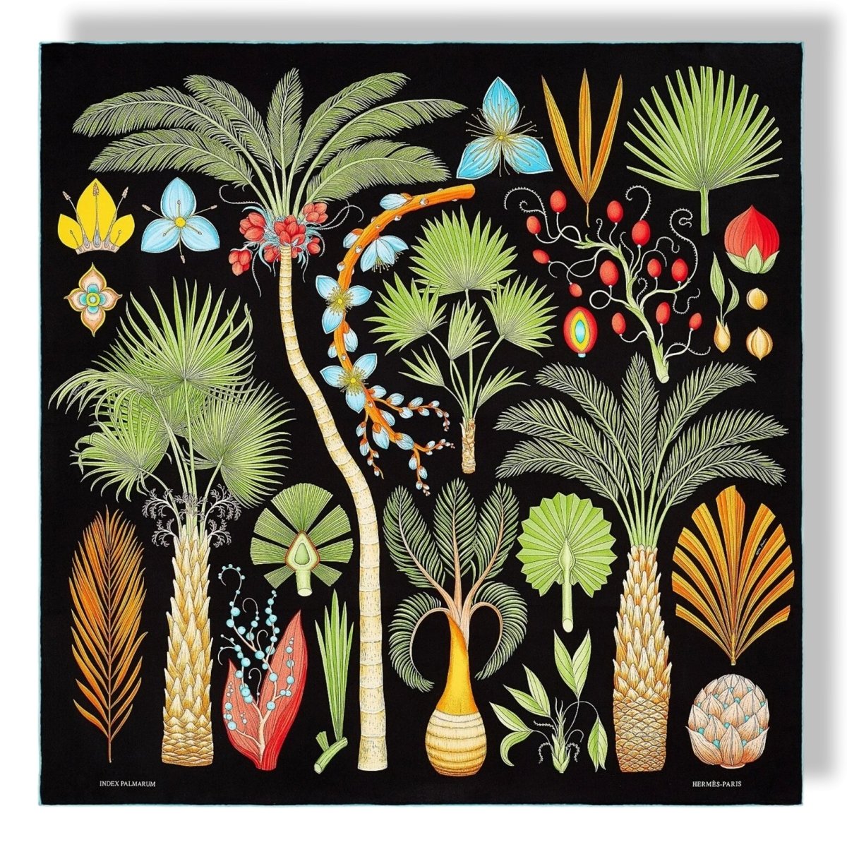 Hermes Noir/Vert/Orange INDEX PALMARUM by Katie Scott Twill Scarf 90cm, New! - poupishop