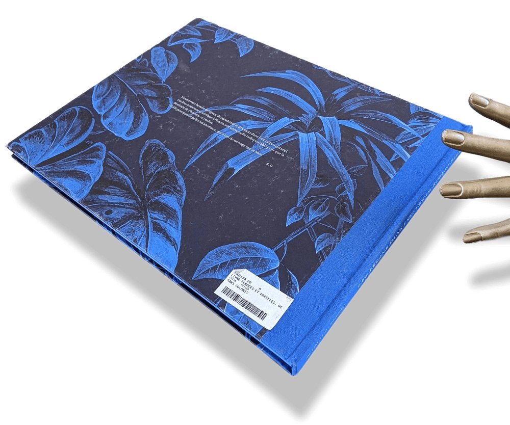 Hermes Papier Les Felins dans l'oeuvre de Robert Dallet Livre, New without celophane! - poupishop