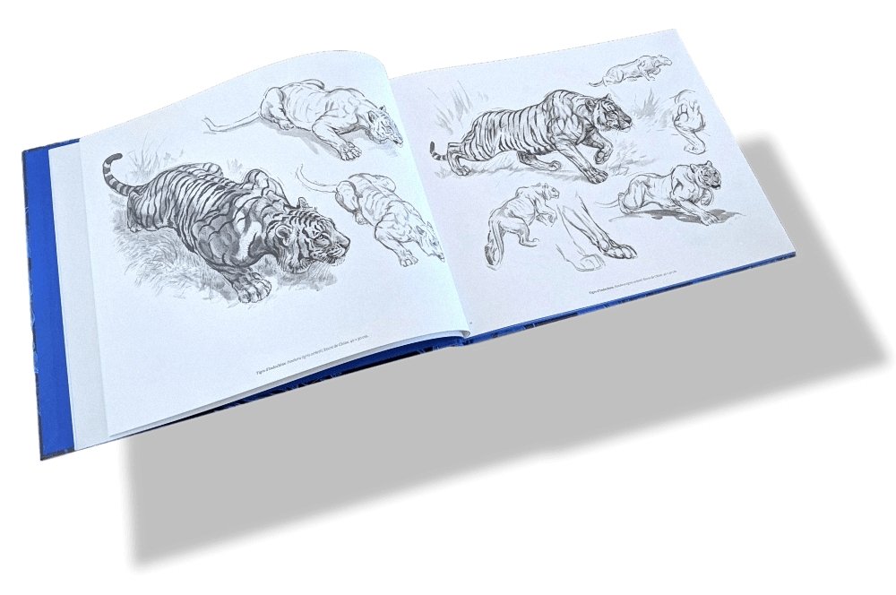 Hermes Papier Les Felins dans l'oeuvre de Robert Dallet Livre, New without celophane! - poupishop