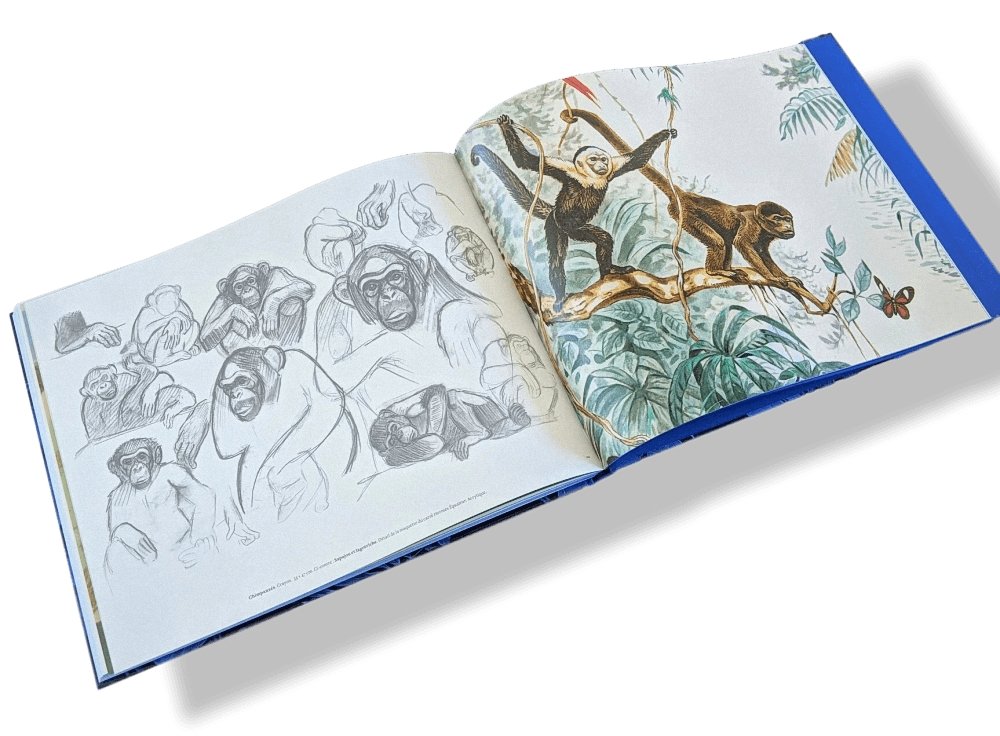 Hermes Papier Les Felins dans l'oeuvre de Robert Dallet Livre, New without celophane! - poupishop
