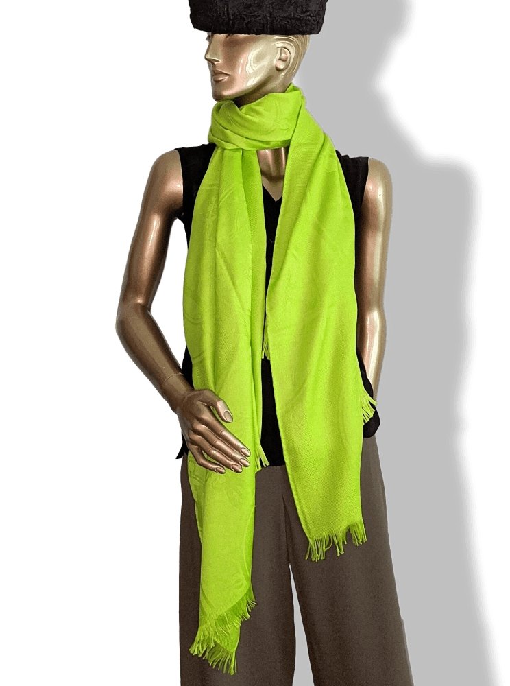 Hermes Pistachio Green ETOLE NEW LIBRIS CONFESSIONS D'EX-LIBRIS Muffler Fringed 85% Cashmere/15% Silk 75 x 210 cm, BNWT! - poupishop