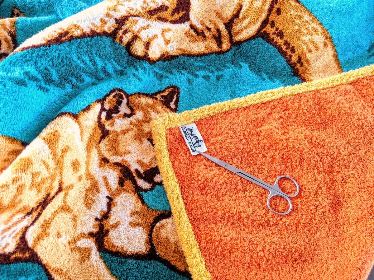 Hermes Soleil/Turquoise/Orange LIONNE & LIONCEAUX Lioness and Cubs Tapis de Plage Terry Beach Towel 150 x 90cm cm, Rare! - poupishop