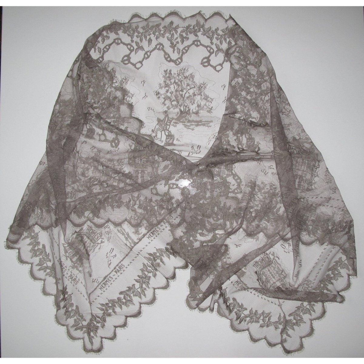 Hermes Vintage Exceptional Etoupe Lace Dentelles Embroidered Stole 76" x 24", Rare! - poupishop