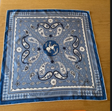 VIN HERMES Le Rodeo des Fruits Bandana 55 Bleu Jean Marine Blanc Twill Silk Scarf