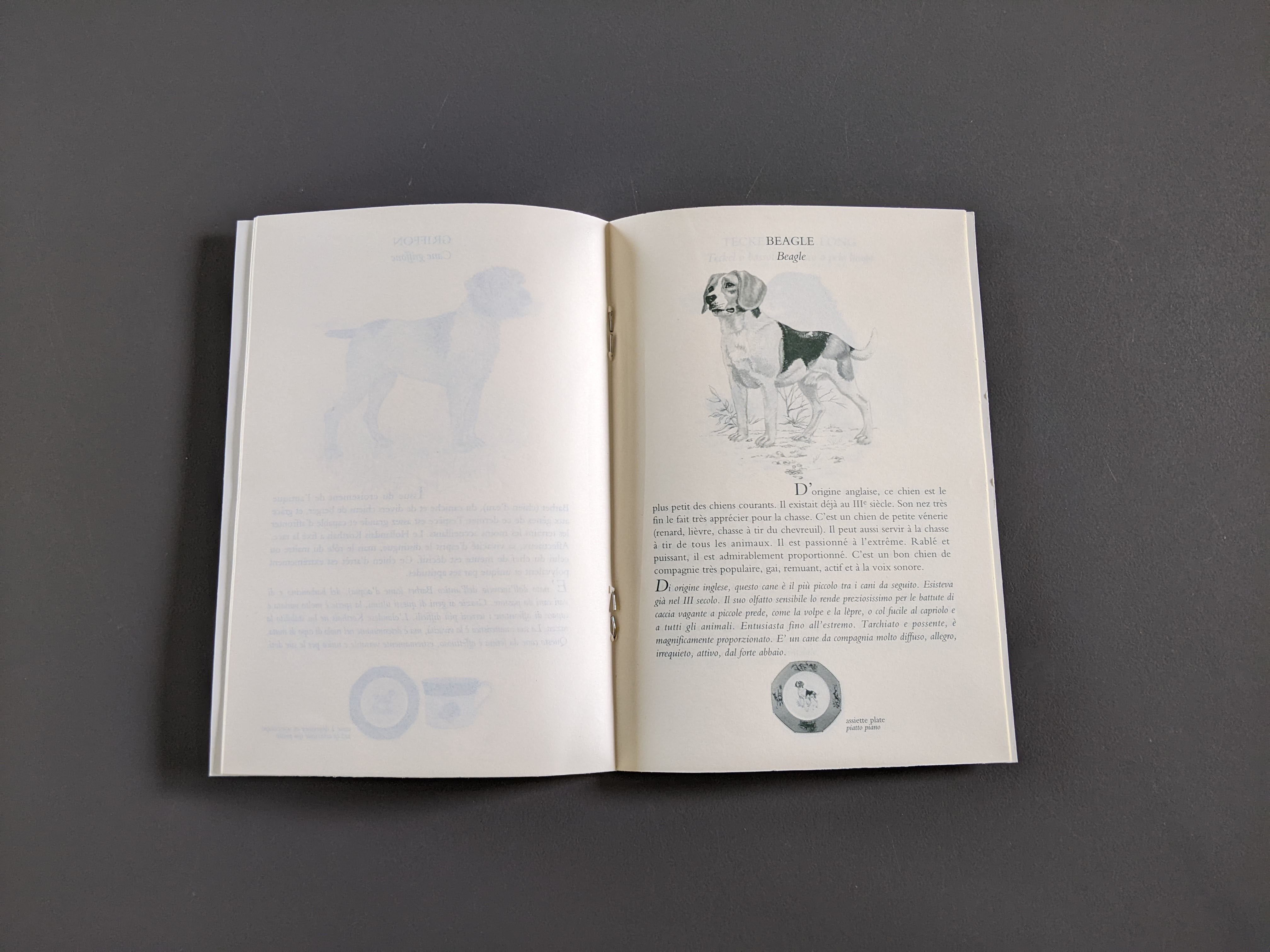 HERMES Petit Lexique of Pointing and Hunting Dogs Vol. I Rare Hermes Booklet