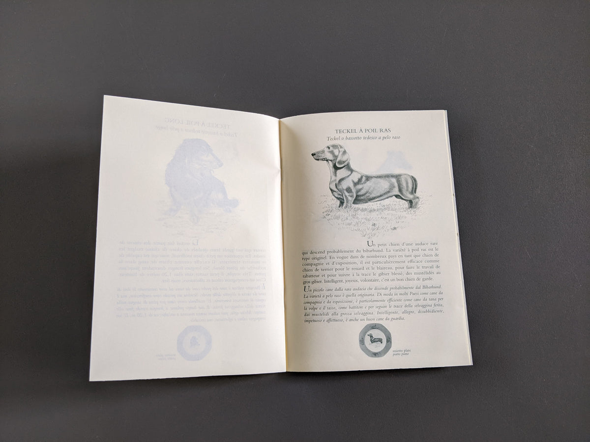 HERMES Petit Lexique of Pointing and Hunting Dogs Vol. I Rare Hermes Booklet