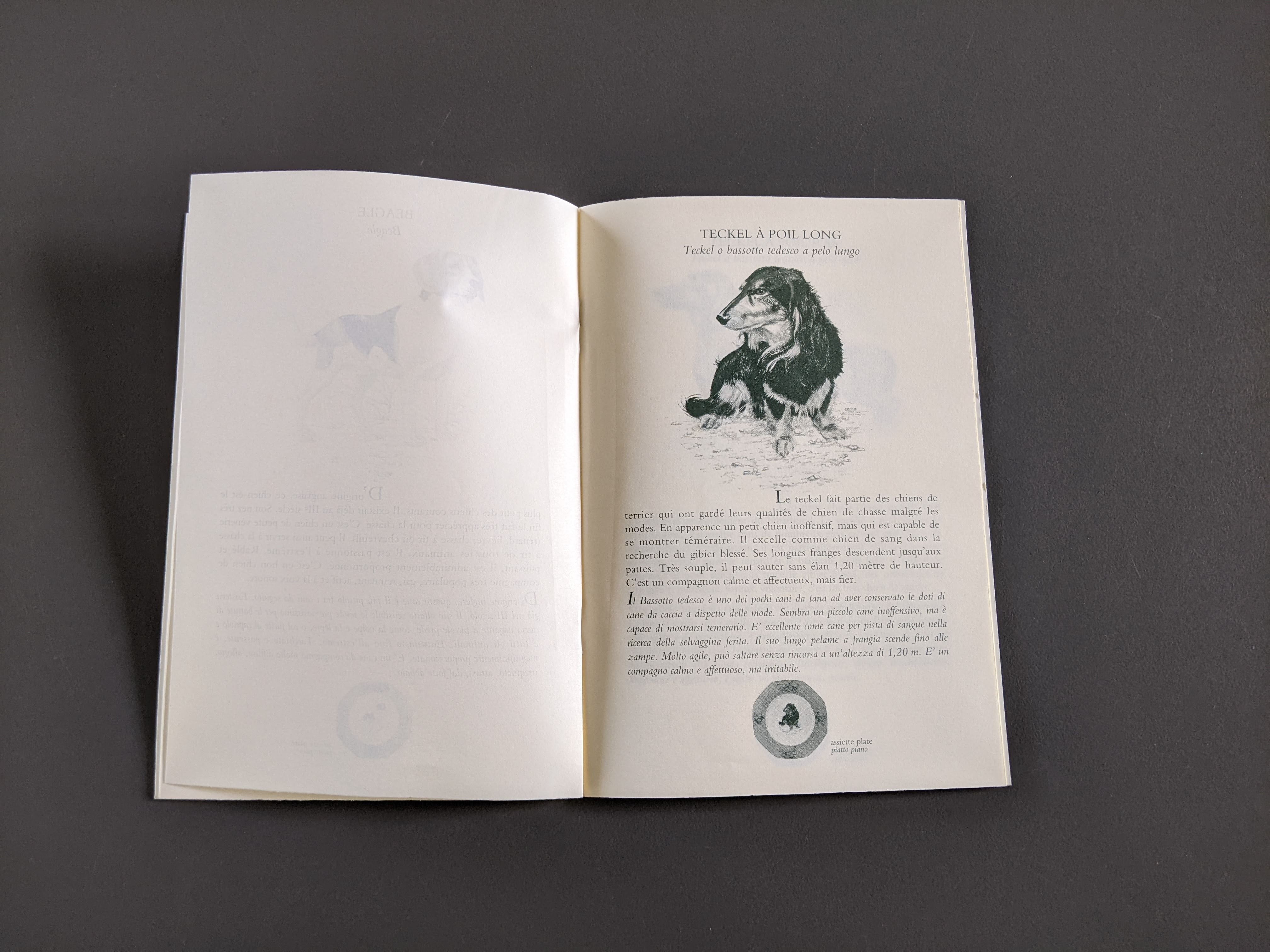 HERMES Petit Lexique of Pointing and Hunting Dogs Vol. I Rare Hermes Booklet