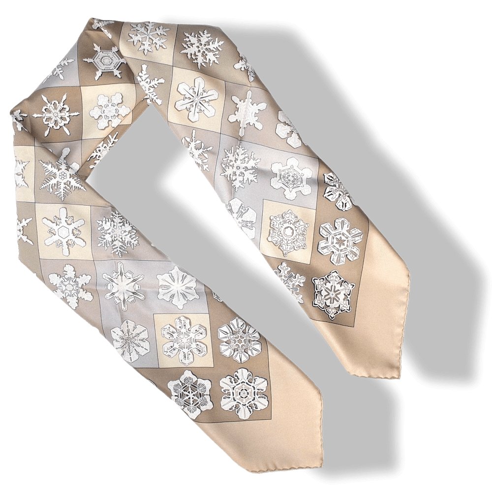 Hermes Feux de l'Hiver by Christiane Vauzelles Twill 90