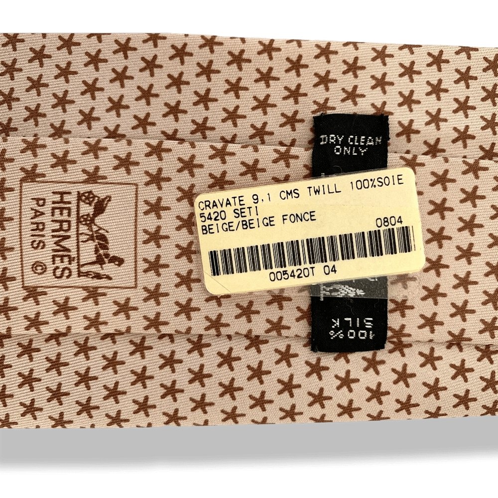 Hermes SETI Twill Silk Tie