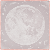 HERMES Clair de Lune Double Face Twill Scarf 90