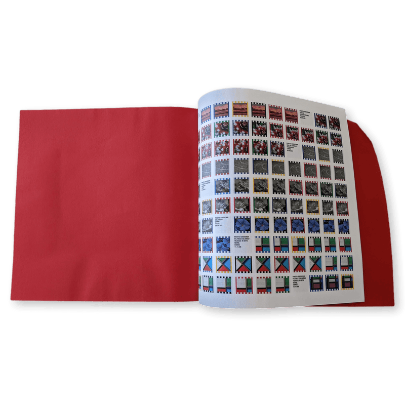 PHOTOS-SOUVENIRS AU CARRÉ DANIEL BUREN洋書 Daniel Buren: Photos-Souvenirs Au Carré: Dumas, Pierre