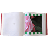 HERMES X DANIEL BUREN Photos-Souvenris au Carre Book