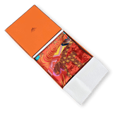 HERMES 2011 Ex Libris en Kimonos by Anamporphee Silk Twill Scarf 90 x 90 cm