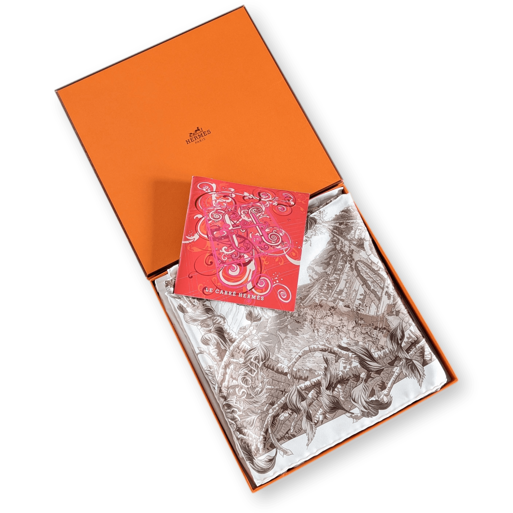 HERMES 2008 Fantaisie Pittoresque by Francoise Houtin Twill Scarf 90 x 90 cm