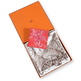 HERMES 2008 Fantaisie Pittoresque by Francoise Houtin Twill Scarf 90 x 90 cm