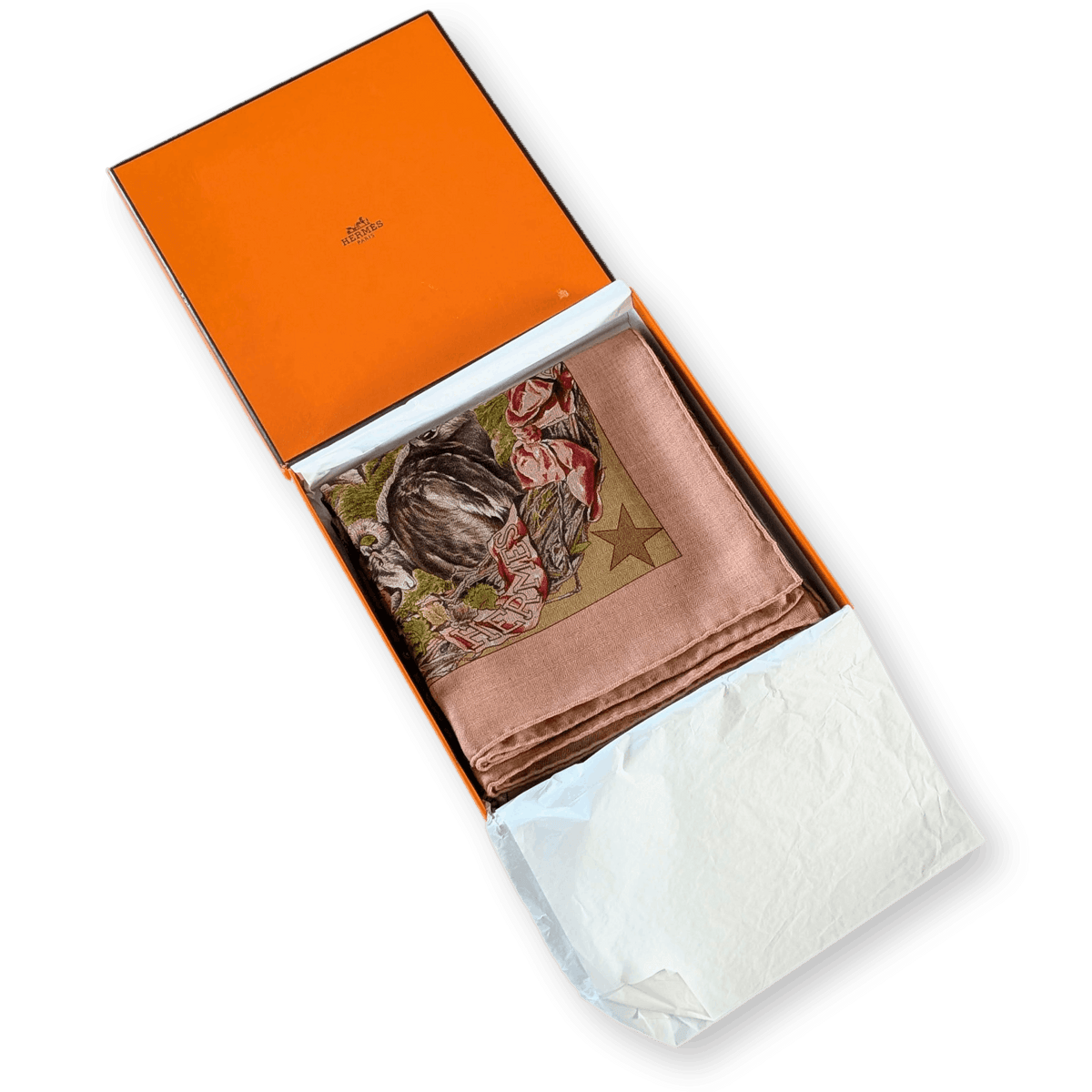 HERMES Faune et Flore du Texas Kermit Oliver Cashmere Silk Shawl 140 1987 Dusty Rose Olive Unused Rare