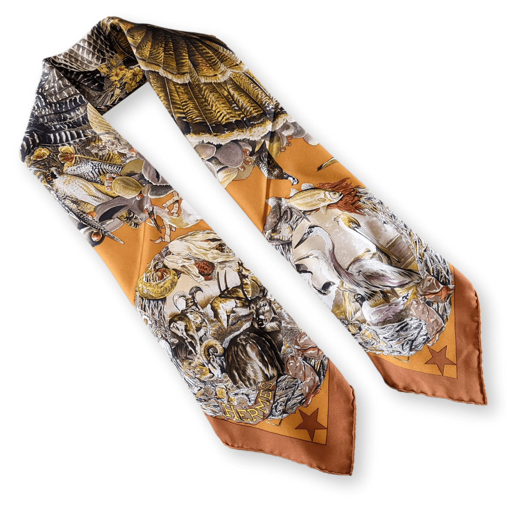 HERMES 1987 Faune et Flore du Texas Wildlife Twill Silk Scarf 90 x 90 cm,