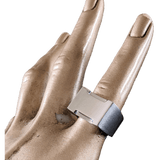 HERMES Men's Important Signet Ring H in Brushed/Shiny Stainless Steel