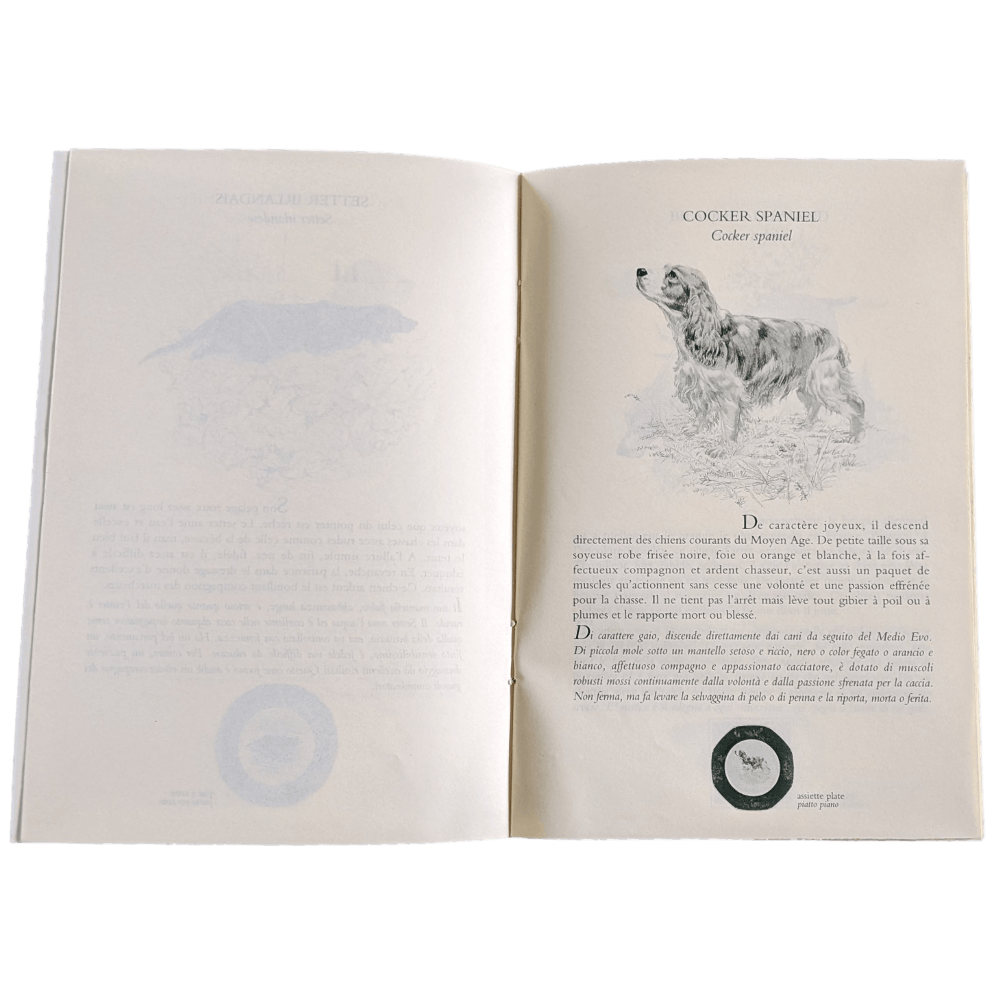 HERMES Petit Lexique of Pointing and Hunting Dogs Vol. I