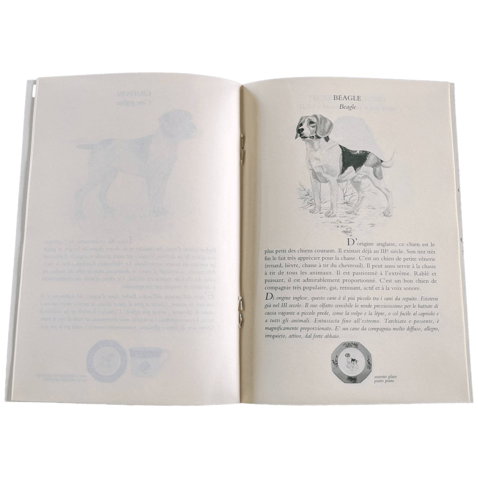 HERMES Petit Lexique of Pointing and Hunting Dogs Vol. I