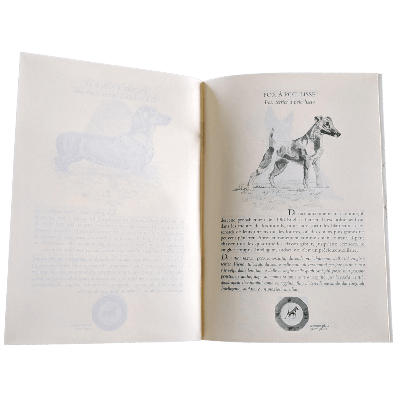 HERMES Petit Lexique of Pointing and Hunting Dogs Vol. I