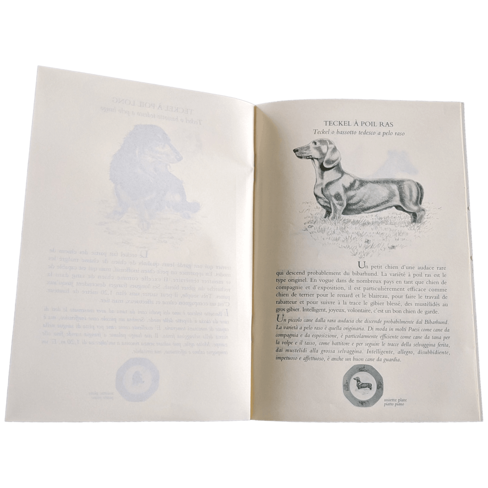HERMES Petit Lexique of Pointing and Hunting Dogs Vol. I