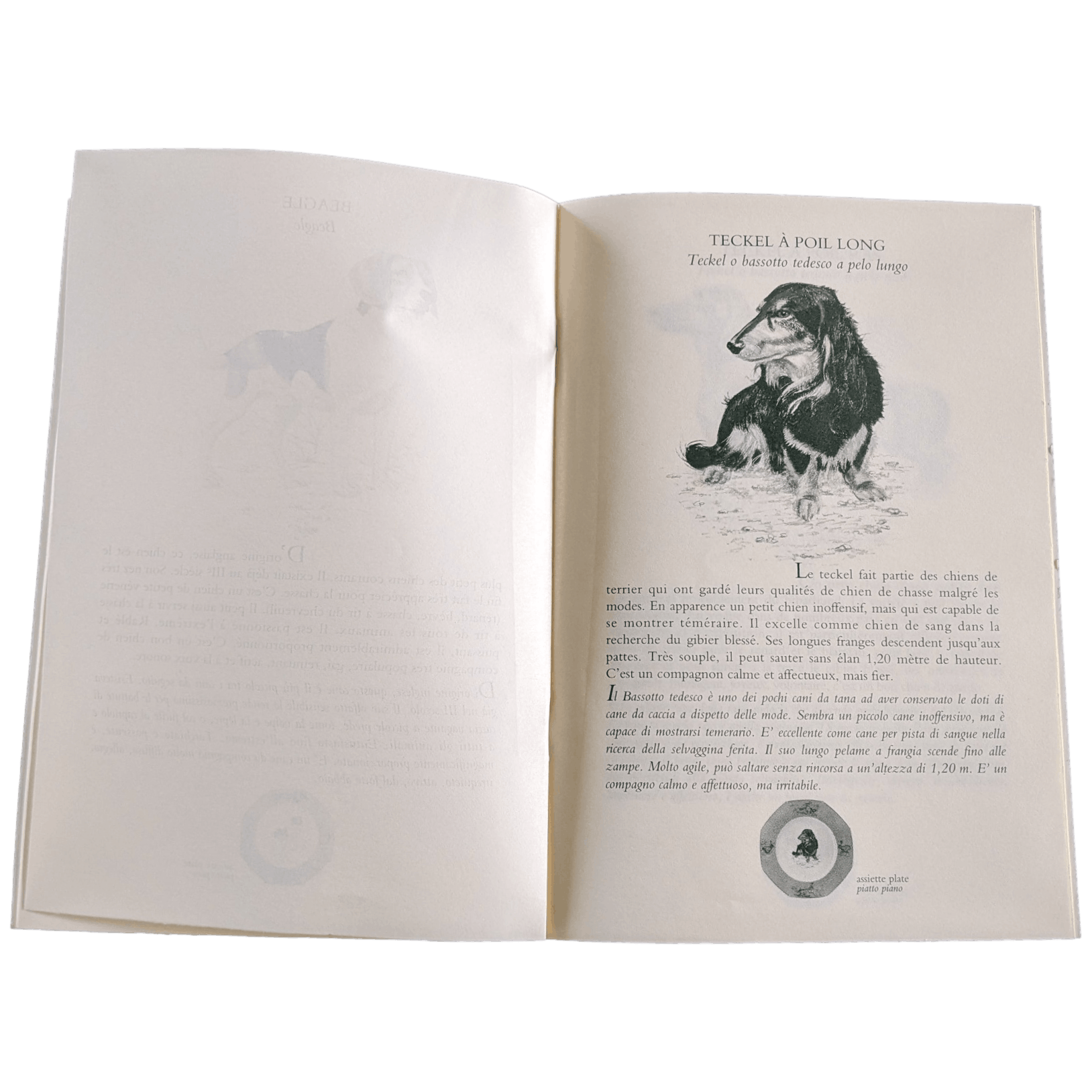 HERMES Petit Lexique of Pointing and Hunting Dogs Vol. I