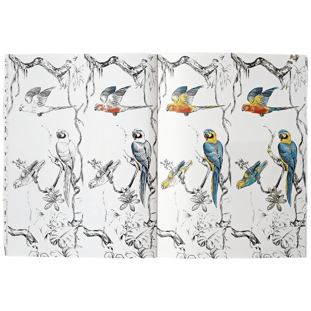 HERMES PETITS FELINS from Robert Dallet Coloring Book, Sealed and