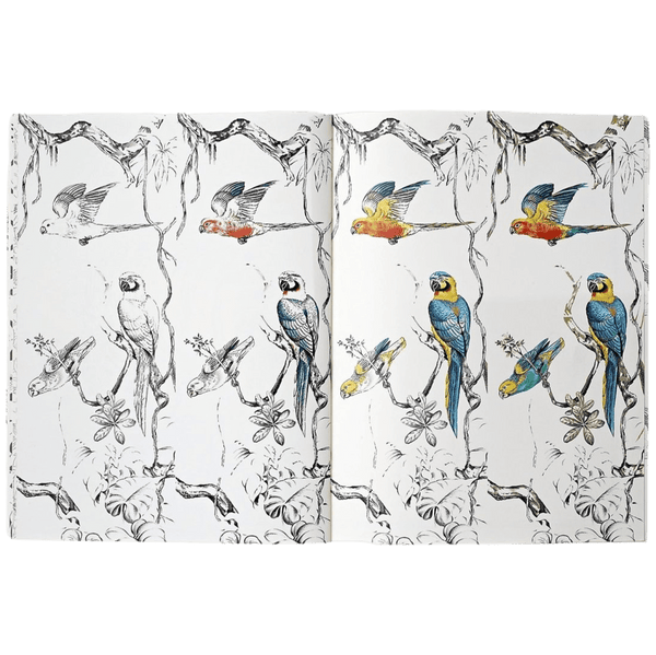 HERMES PETITS FELINS from Robert Dallet Coloring Book,