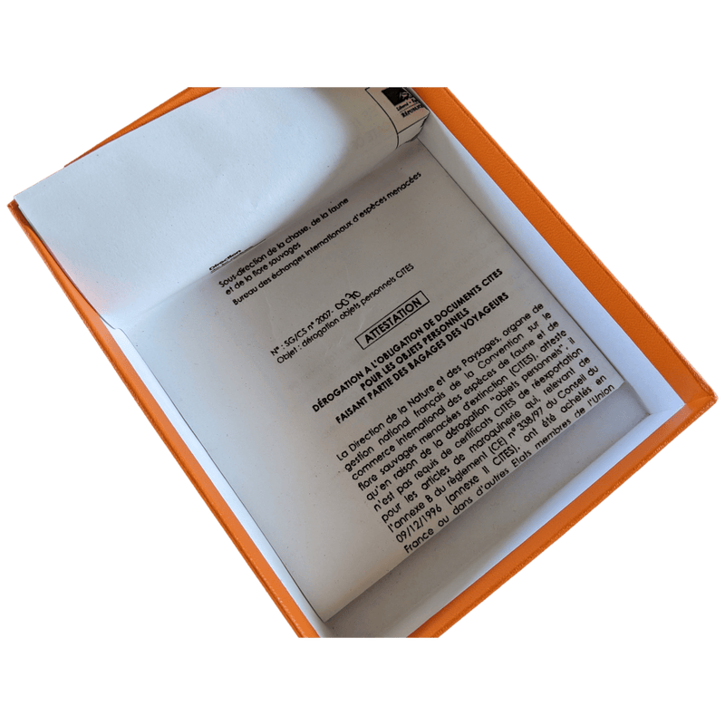 HERMES Red Lizard/Palladium "Curiosite" Necklace