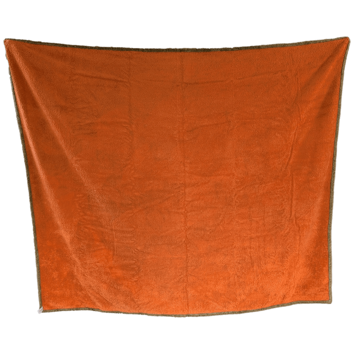 HERMES School of Fish Banc de Poissons California XXL Beach Towel 145 x 160 cm Olive Brown Blue Rare