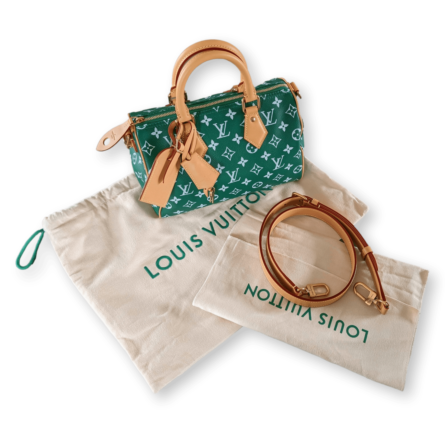 Louis Vuitton Speedy P9 Bandoulière 25