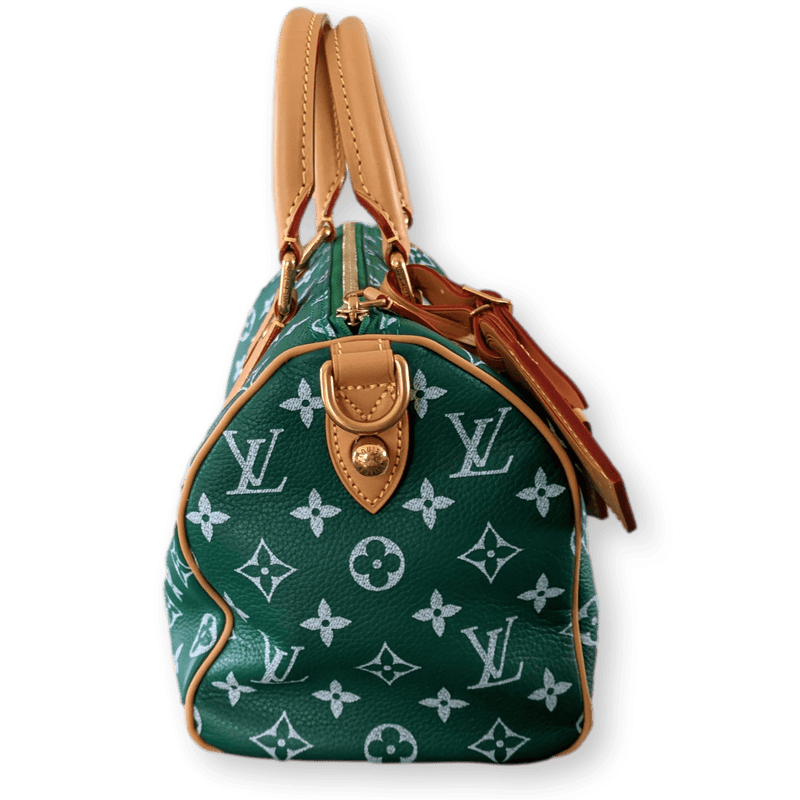 Louis Vuitton Speedy P9 Bandoulière 25