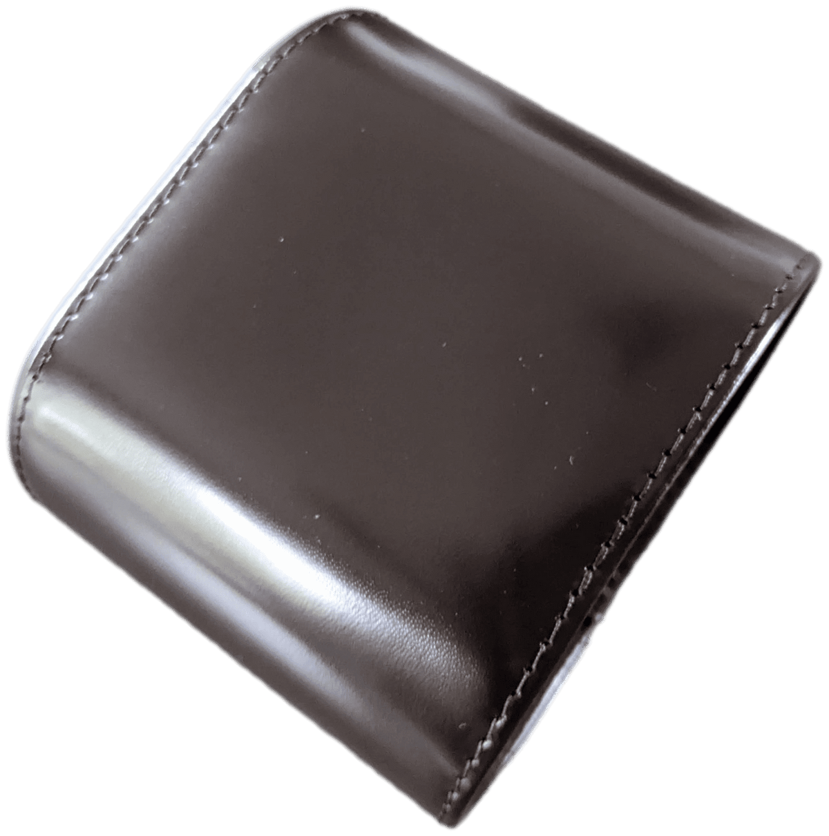 PATEK PHILIPPE VIP Ebene Glazing Leather Watch Case