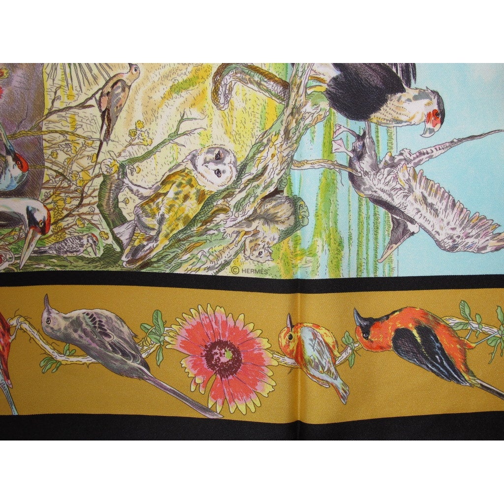 hermes La vie sauvage du Texas for Caesar Kleberg Wildlife Research Institute 