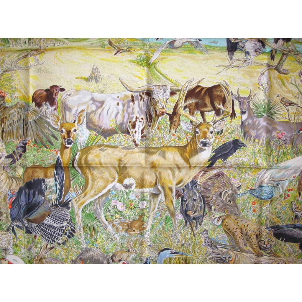 La vie sauvage du Texas for Caesar Kleberg Wildlife Research Institute 