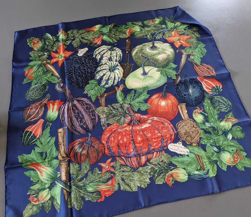 Hermes 1998 Navy Citrouilles et Coloquintes by Valerie Dawlat with Blanc Matt Overlay Twill 90cm Mint!